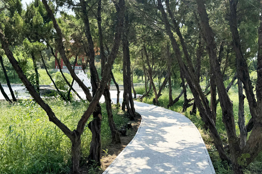 天津兰生园公墓官网园区环境图