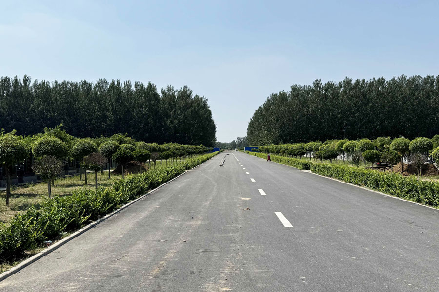 天津兰生园公墓官网园区道路图